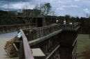 Treetops Hotel, Kenya